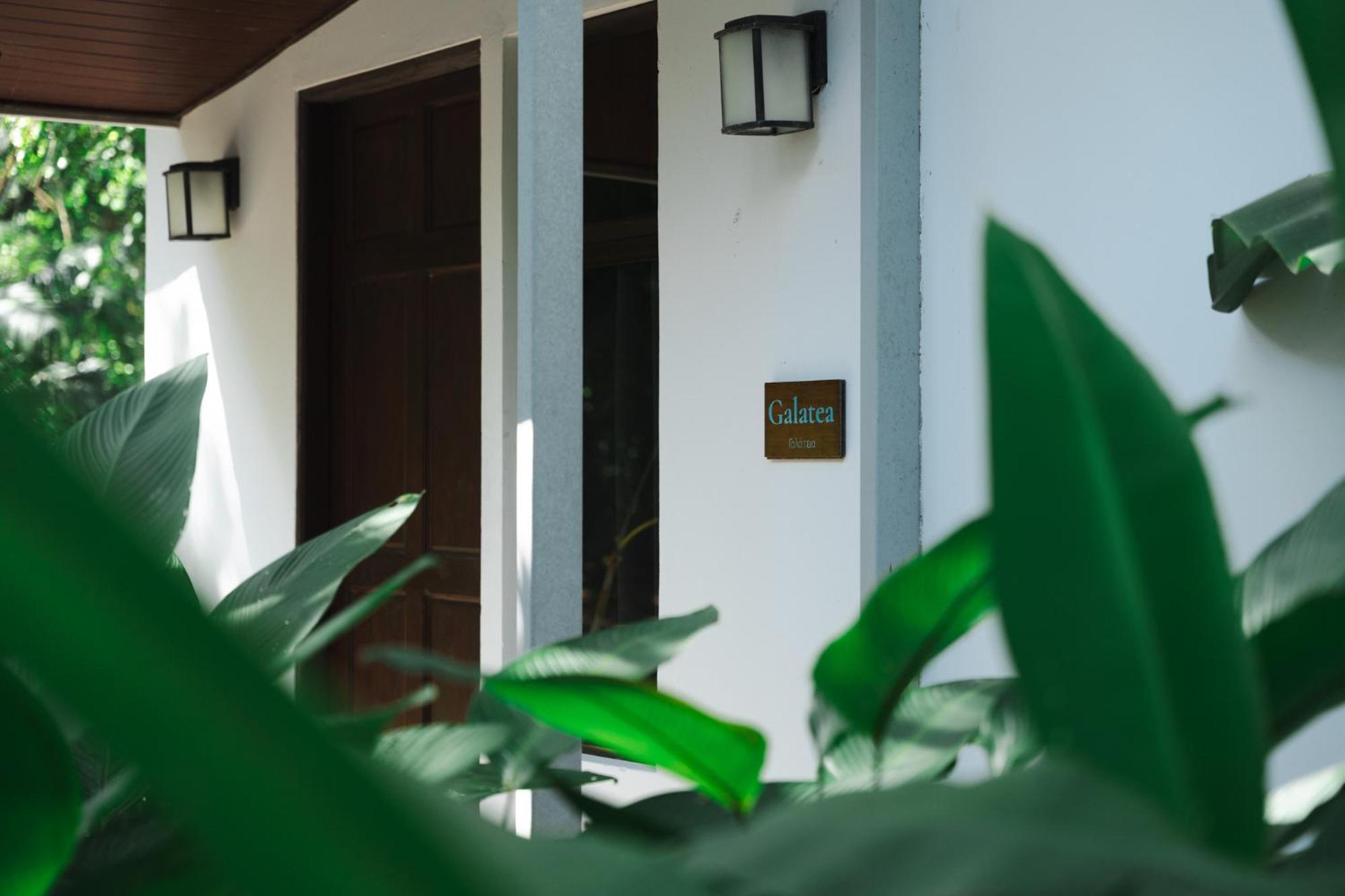 Hotel Nereus Puerto Jiménez Exterior foto